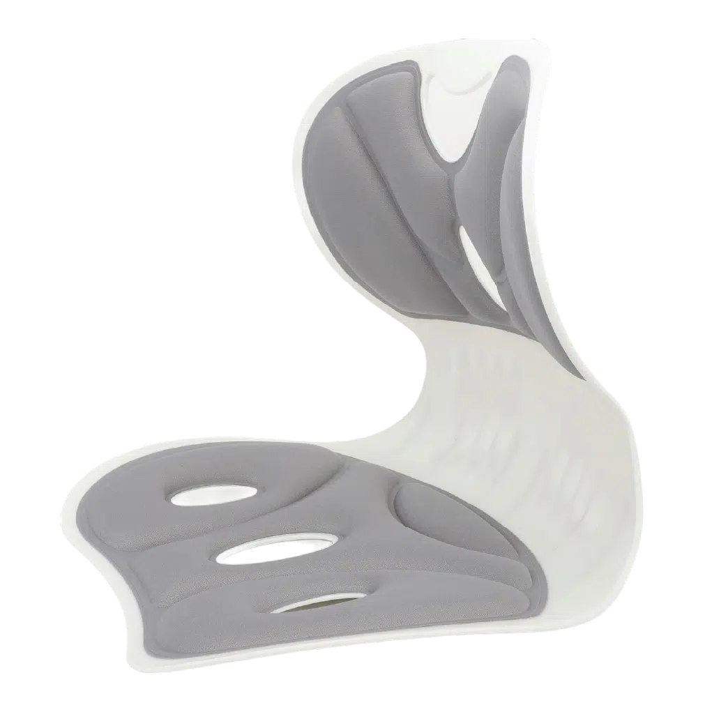ergonomic back support cushion for office chair aminsuk