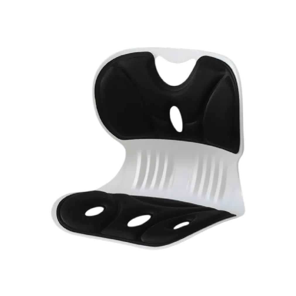 ergonomic lumbar support cushion teal design